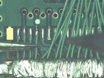 Image From a Stereomicroscope